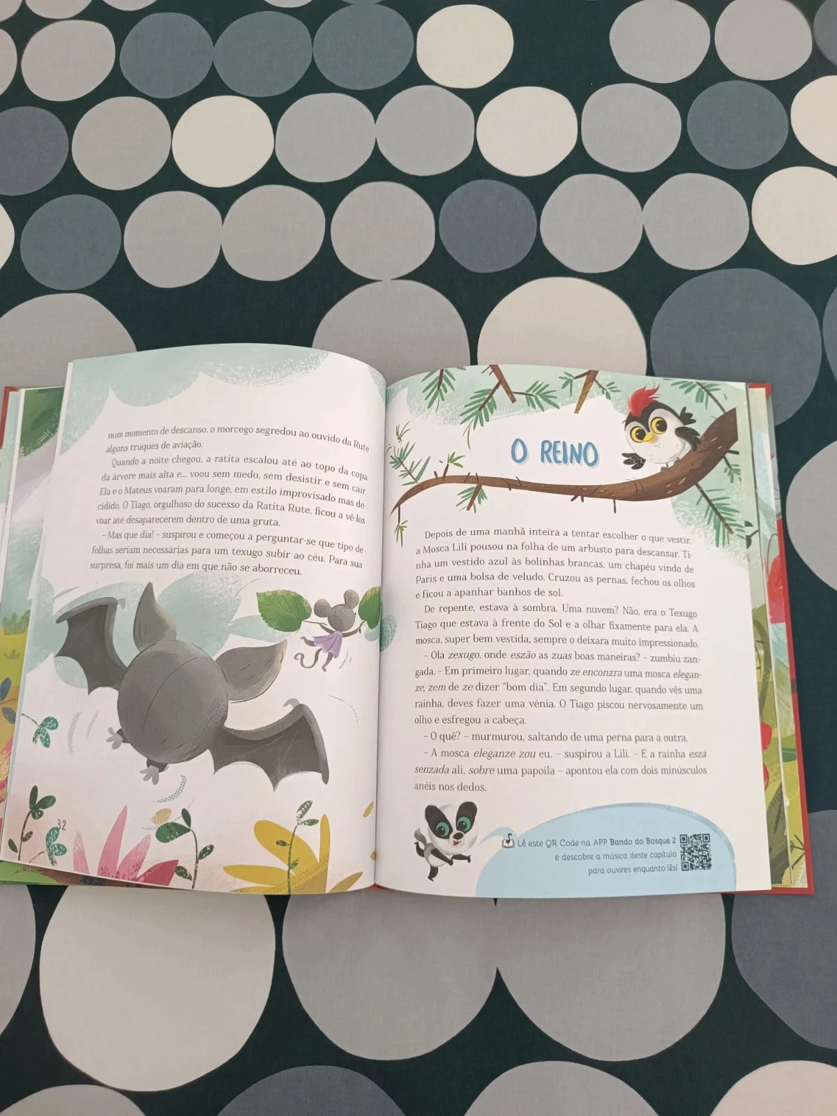 Livro Bando do Bosque – Er is feest op de open plek – photo 5